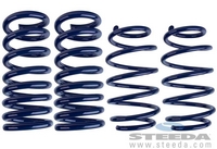 Lowering Spring